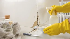 Moisissure incrustée joint silicone : action rapide et sûre